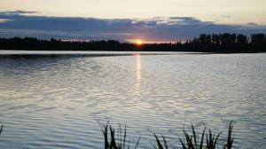 Нашли новое место для отдыха в Подмосковье. Мы одни на весь берег!