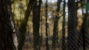 Люся Чеботина - ЗА БЫВШЕГО