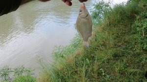 Кринжовая рыбалка