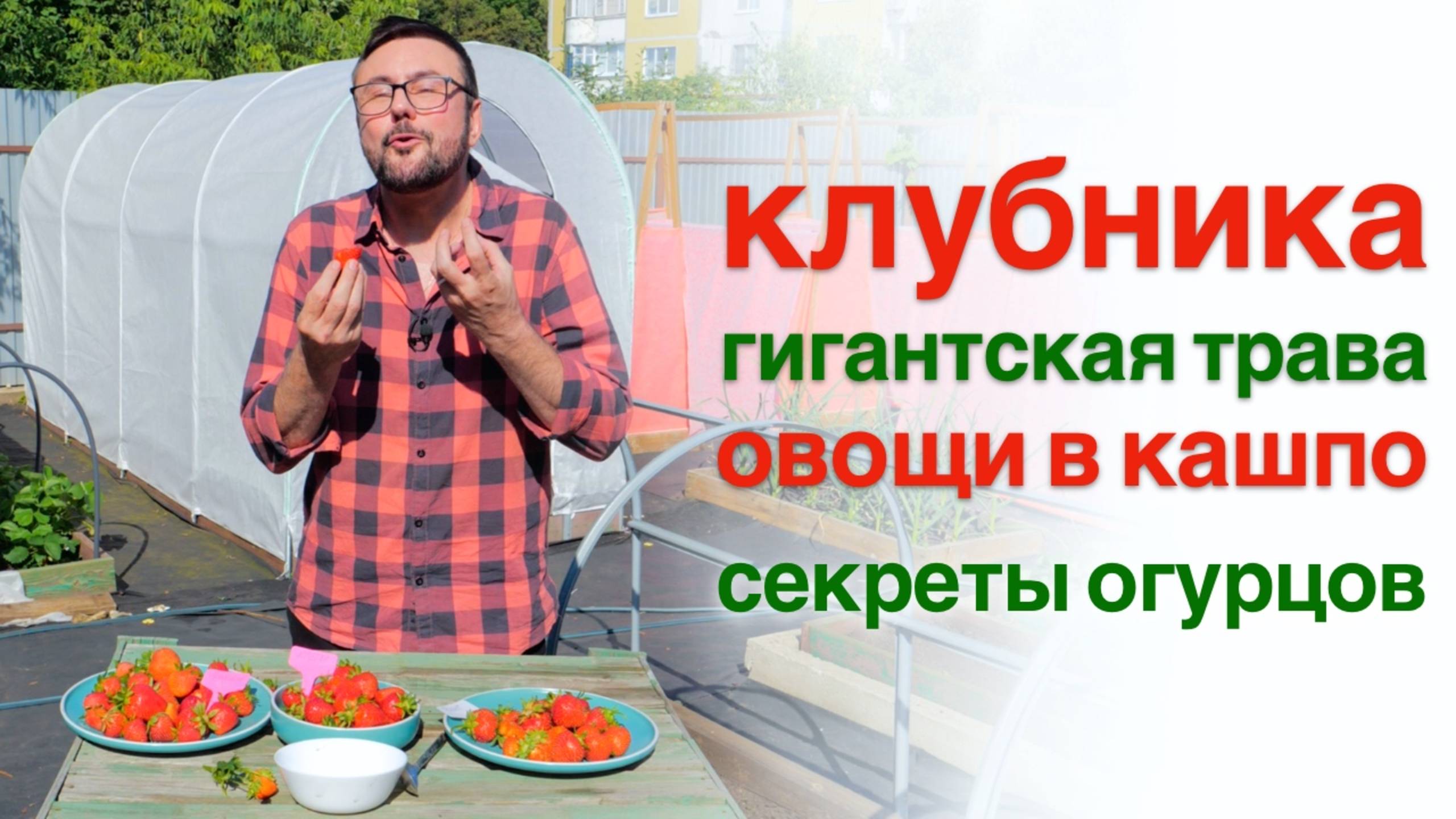 Выбираю сладкую клубнику, идеальные огурцы, овощи в кашпо и гигантская трава 🙄