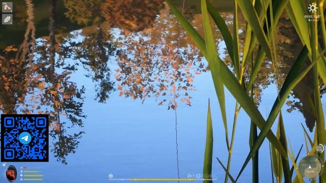 СОМИК КАНАЛЬНЫЙ ТРОФ - ЛОСИНОЕ ⭐ РУССКАЯ РЫБАЛКА 4 |  RUSSIAN FISHING 4@Z-B-G