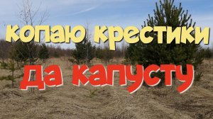 КОПАЮ КРЕСТИКИ ДА КАПУСТУ. ПОИСК СТАРИНЫ С ЭКВИНОКС 800.