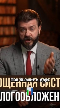 Как налоговая проверяла деятельность Митрошиной?
