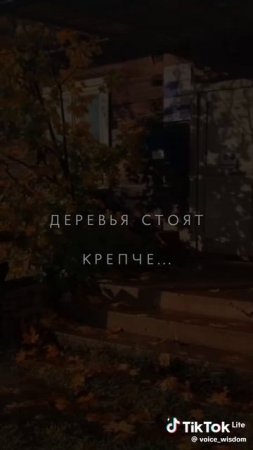 Житейское со смыслом – 3