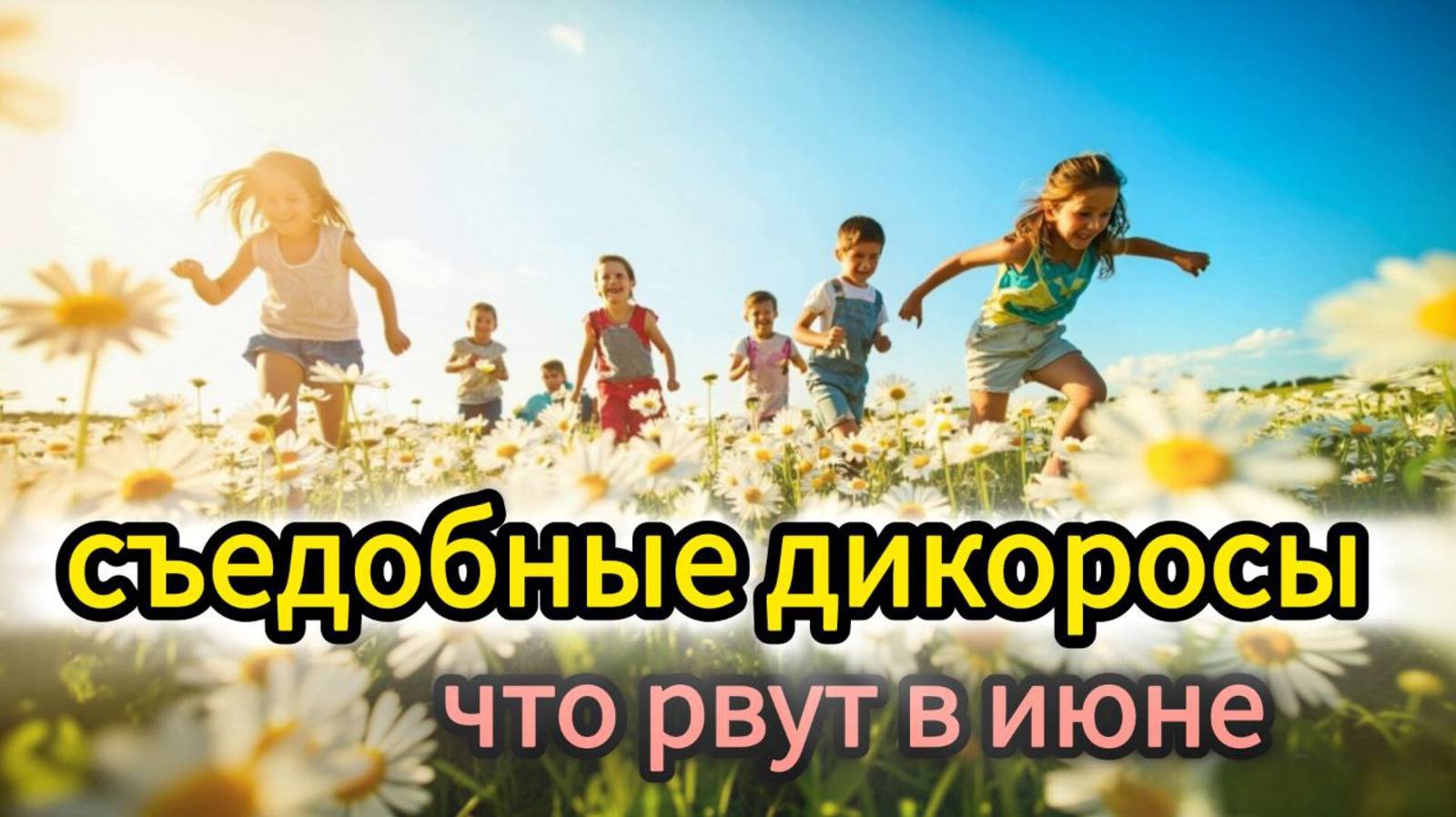 Съедобные дикоросы. Что рвут в июне.