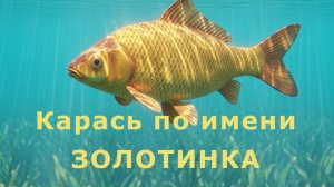 Карась по имени Золотинка. Сказка Е.Клюева