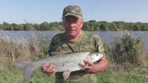 Обычная ловля на отводной. 
Но бонус классный!