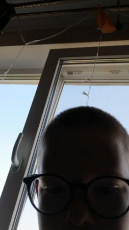 VID_20250617_081147.mp4