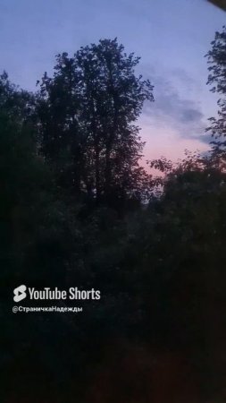 В глуши. Из Англии в Россию