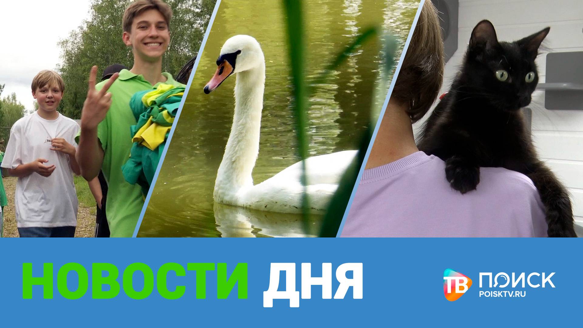 Клин. Новости дня 17.06.25