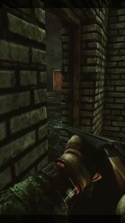 Побег Из Таркова EscapeFromTarkov БОТЫ ДИКИИ ОСЛЕПЛЕННЫЕ СВЕТОШУМОВОЙ ГРАНАТОЙ ШМАЛЯЮТ ДРУГ В ДРУГА