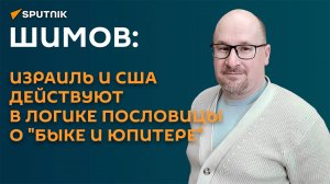 Шимов: Израиль и США действуют в логике пословицы о "быке и Юпитере"