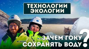 Технологии экологии: гармоничное соседство завода и природы