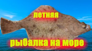 «Рыбалка на камбалу в Балтийском море: особенности ловли и улова».