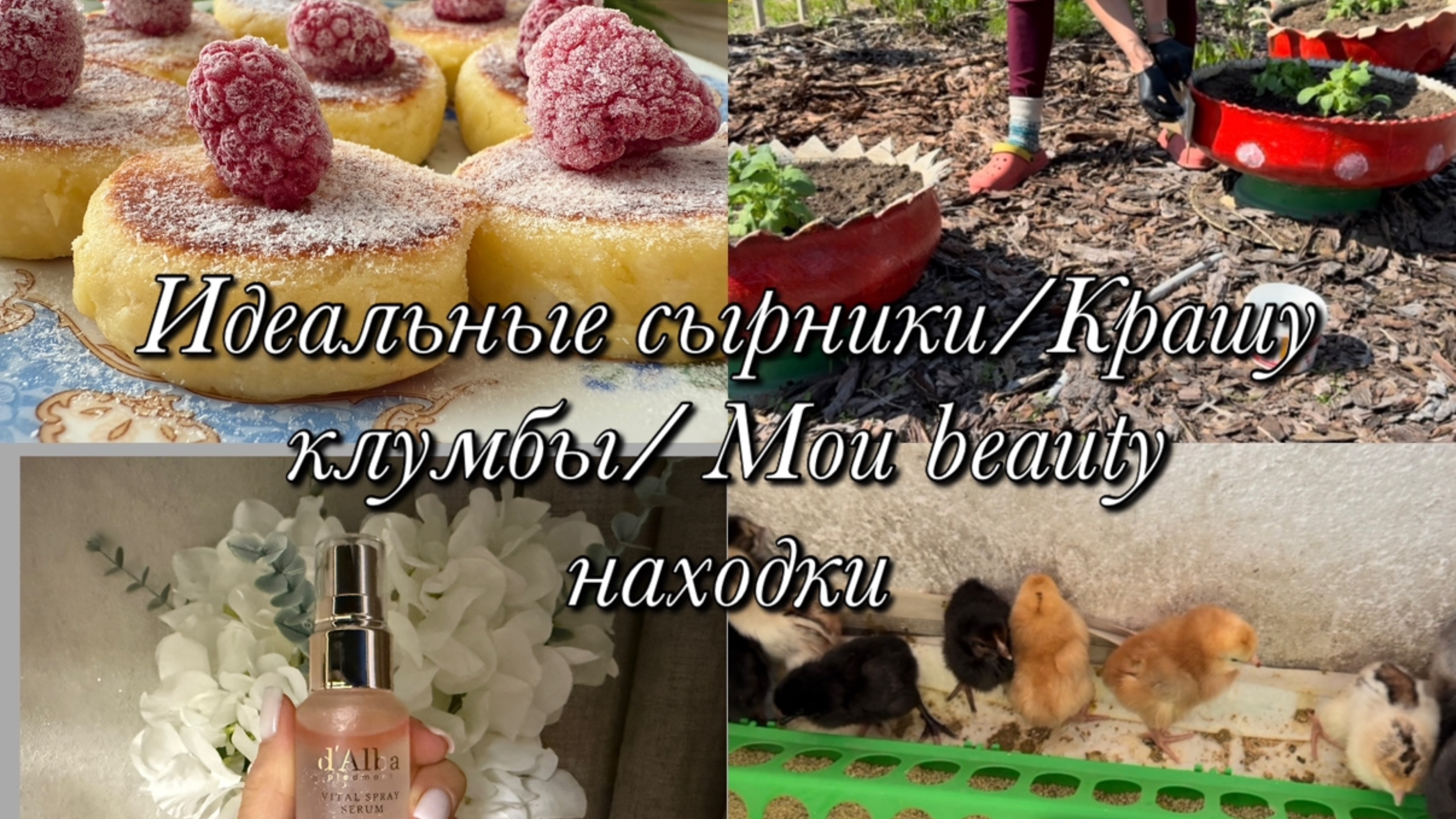 Идеальные сырники 👌🏻Крашу клумбы 🌺Мои beauty находки с WB💄🛍️