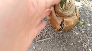 1000012497.mp4