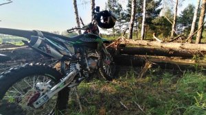 прокладка новой трассы (бревна)