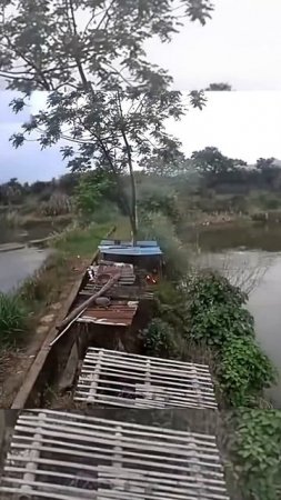 Молния ударила рядом с девушкой.
