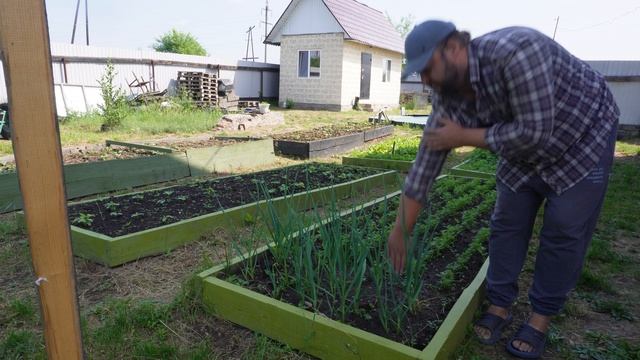 ДЕРЕВЕНСКИЙ ОГОРОДИК СОБАКА И КОШКИ переезд из города в Сибирь