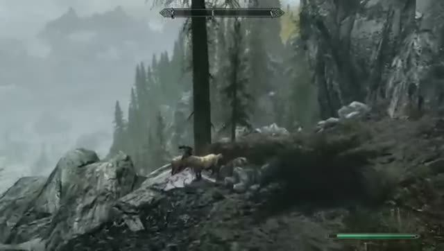 Специальное издание The Elder Scrolls V Skyrim Прохождение На Русском — НОВАЯ РАСТИТЕЛЬНОСТЬ!