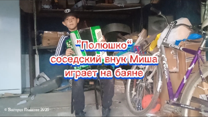 «Полюшко» - соседский внук Миша играет на баяне