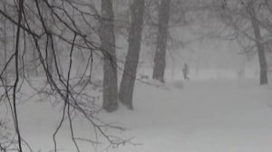 Вероника