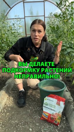 Вы делаете подкормку растений неправильно