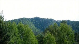 Бутик-отель "Игуана"