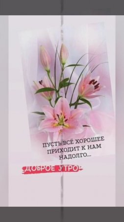 доброе утро
