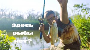 Река Аксай. Сазан обрывает снасть