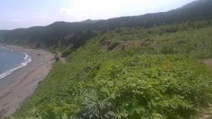 Мыс Трудный. Мыс Грозный. 
Мыс Великан. Мыс Птичий. 
За один выходной день.