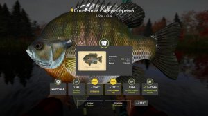 Русская рыбалка 4. оз. Лосиное. На поплавок у причала с кучей трофеев))