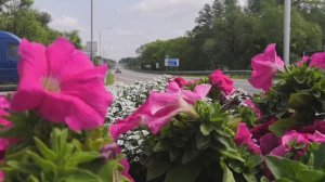 дорога в Калининград