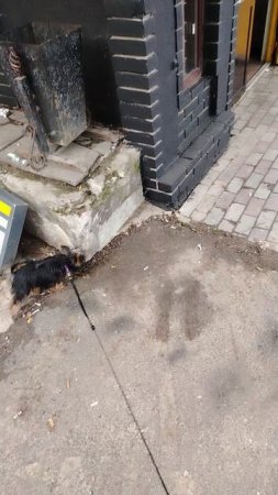 вечерний променад.