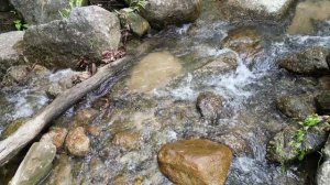 Магия водопадов ч.14