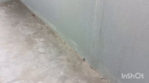 22 этаж это прикол