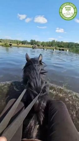 Бежишь на работу, как спринтер на Олимпиаде, а в голове: "Завтрак или успеть на автобус? Эх, жизнь!"