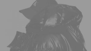 Дзоридза тшын