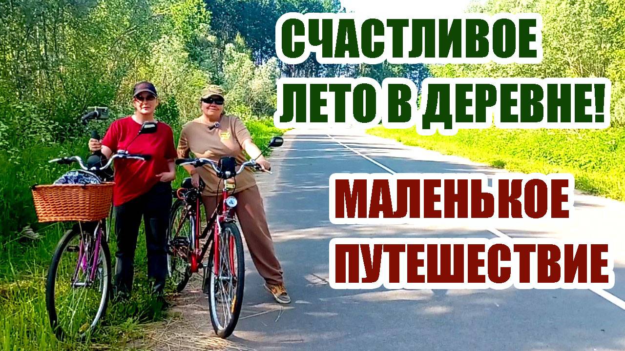39. УЕХАЛИ ИЗ ПИТЕРА В ДЕРЕВНЮ. СПАСАЕМ КЛУБНИКУ, УХАЖИВАЕМ ЗА ВИНОГРАДОМ, СТРОИМ И ОТДЫХАЕМ.