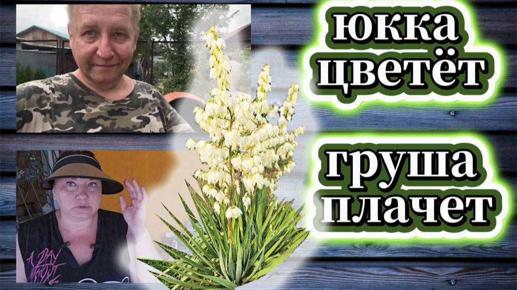 97-25! ОТВЕТ НА ВОПРОС/СЮЖЕТЫ ОТ ИГОРЕВИЧА/ПОКУПОК  ОБЗОР/ЛЕЧИМ РАСТЕНИЯ НА ДАЧЕ