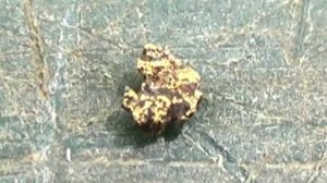 Золотая россыпь на самородковом ручье!