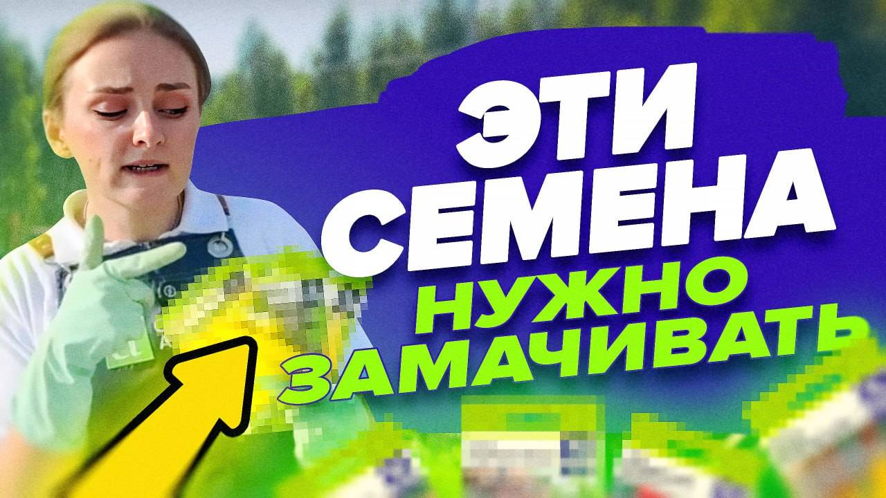 КАКИЕ СЕМЕНА НУЖНО ЗАМАЧИВАТЬ?