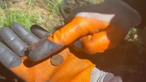 По старым местам