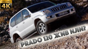Toyota Land Cruiser Prado 120 Diesel 2004-сдулся?
