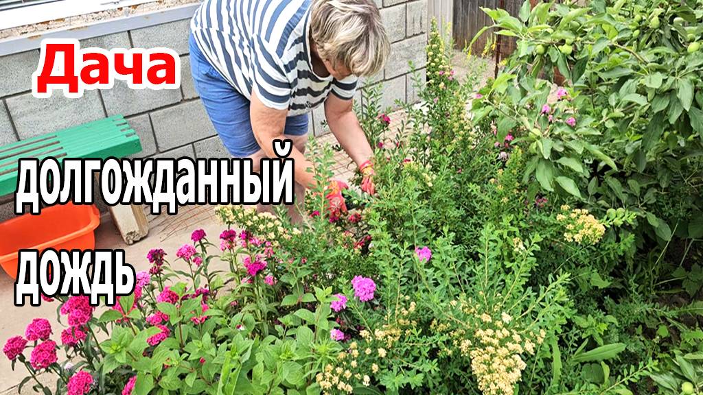 Дача.Долгожданный дождь.Град обошел нас стороной.Жарим рыбу.Июнь 2025