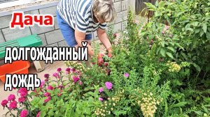 Дача.Долгожданный дождь.Град обошел нас стороной.Жарим рыбу.Июнь 2025