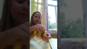 поделка пчёлка 👼