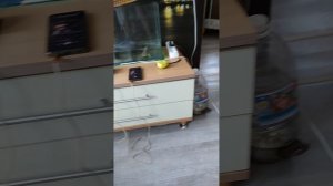 1. двух полосная акустическая система,, обратный рупор,,
