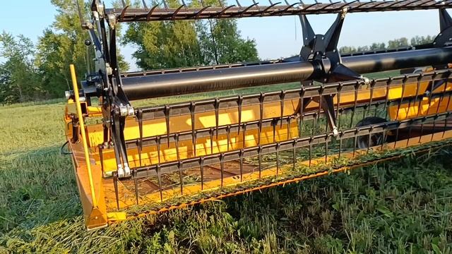 Зверь по имени хедер