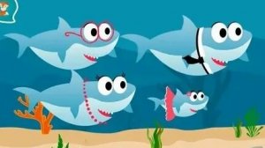 акула туруруру